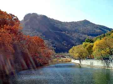 新澳天天开奖资料大全旅游团，蕲春seo教程